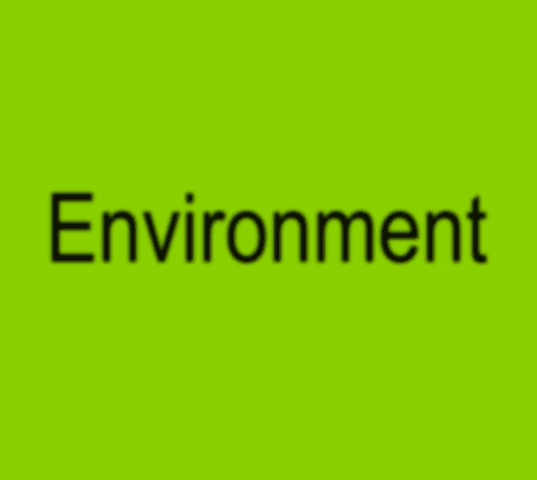 Environment